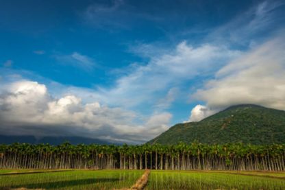 Ooty sightseeing package