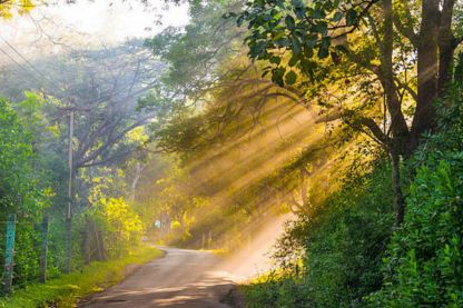 Trekking cab Ooty