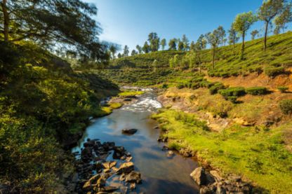 Nilgiri tour package