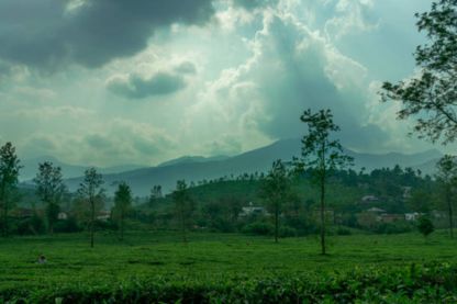 Customized Ooty tour
